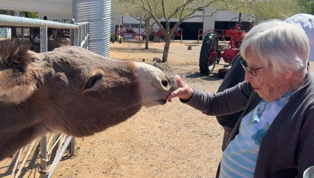 Pegasus Senior Living | Senior woman feeding an animal