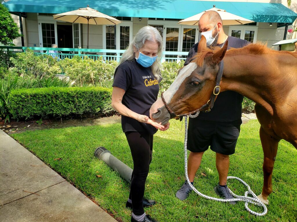 The Farrington at Tanglewood | Resident feeding horse