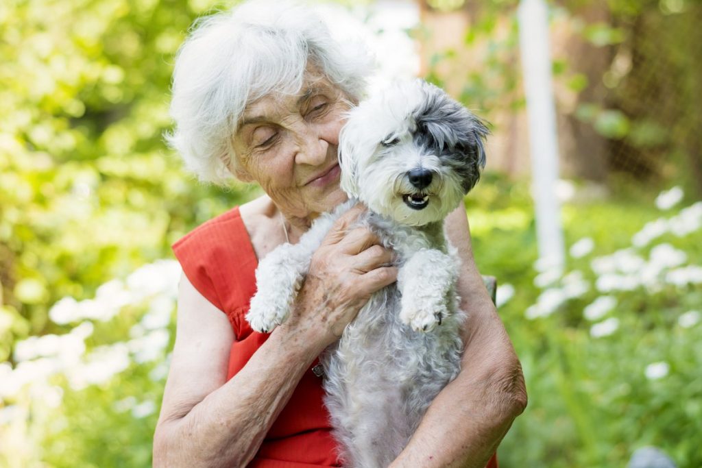 Town Village Crossing | Happy senior woman with small dog